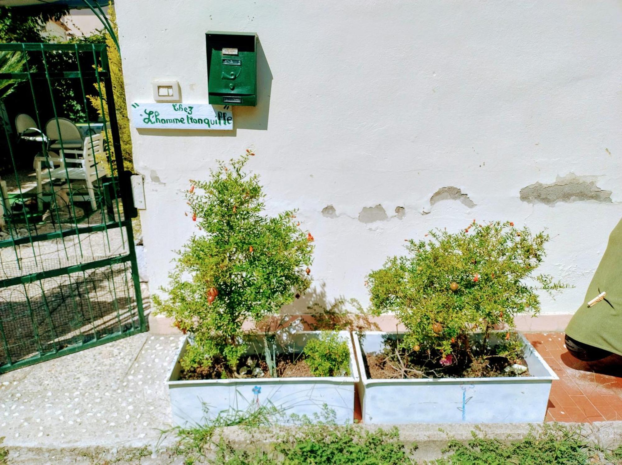 Chez L'Homme Tranquille Apartment Arena Metato Exterior foto